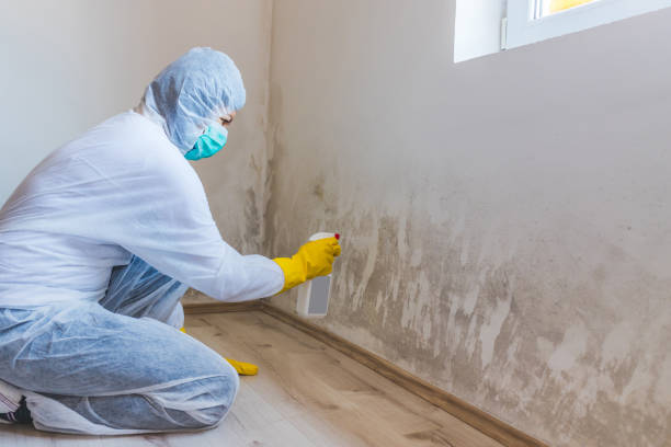 Licensed Bathroom Mold Removal service in Jacksonville, IL - Mold Remediation HQ