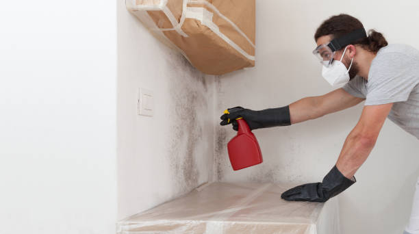 Professional Bathroom Mold Removal technician working in Jacksonville, IL
