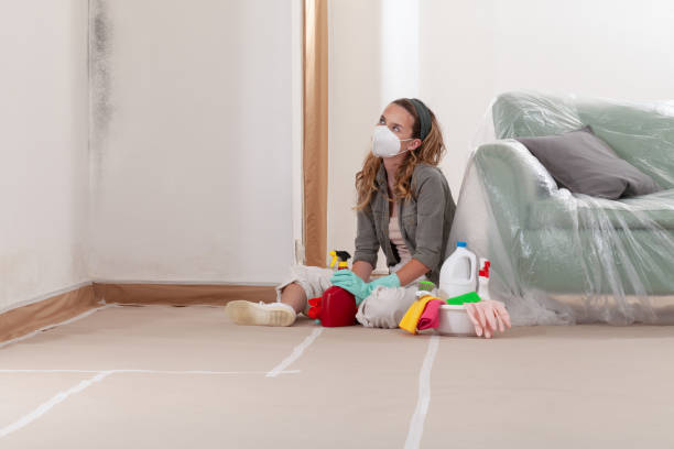 Reliable Bathroom Mold Removal contractor in Jacksonville, IL by Mold Remediation HQ